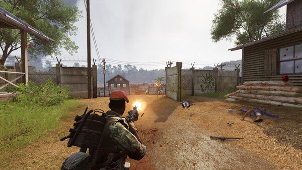 Military Conflict: Vietnam