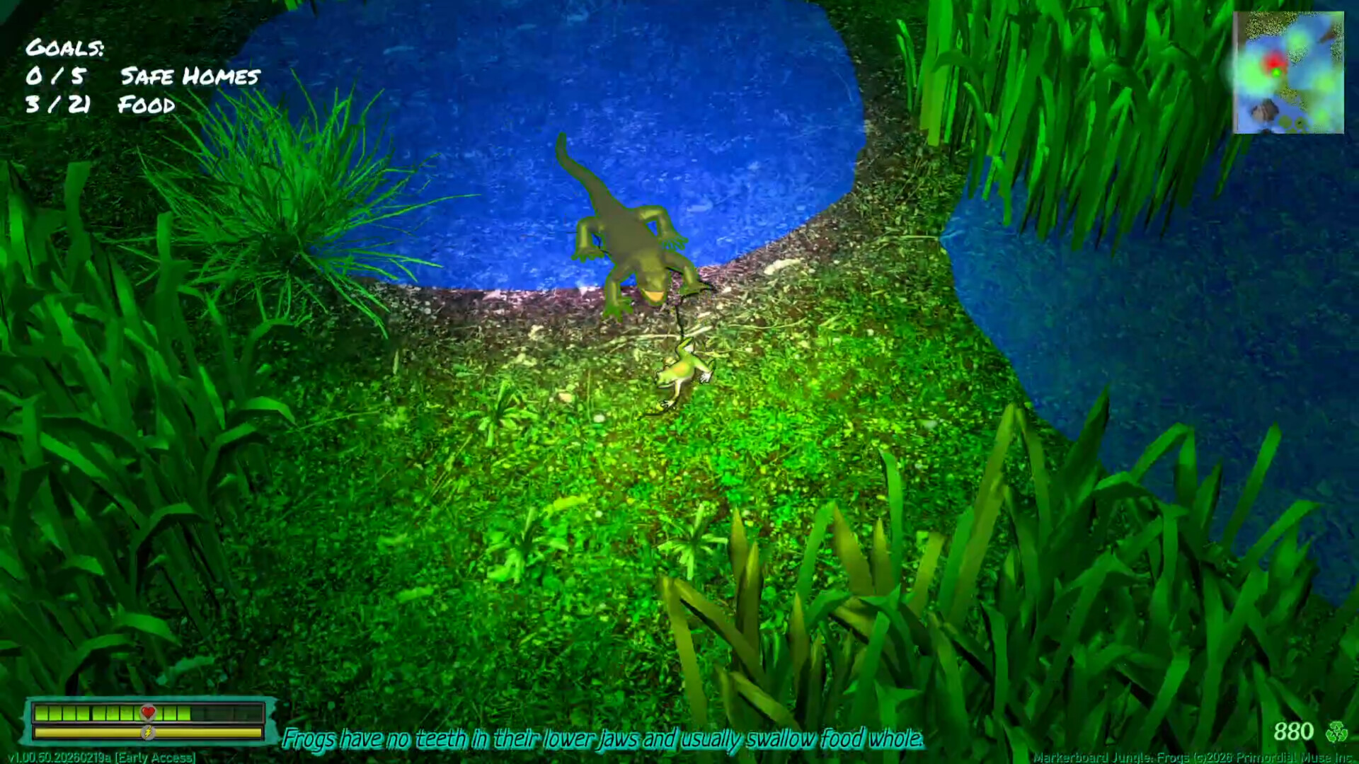 Markerboard Jungle: Frogs screenshot #7