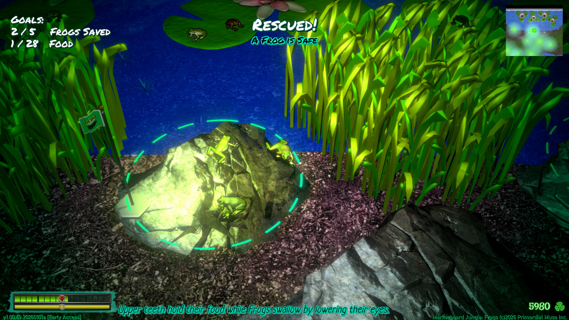 Frog Jungle screenshot 2