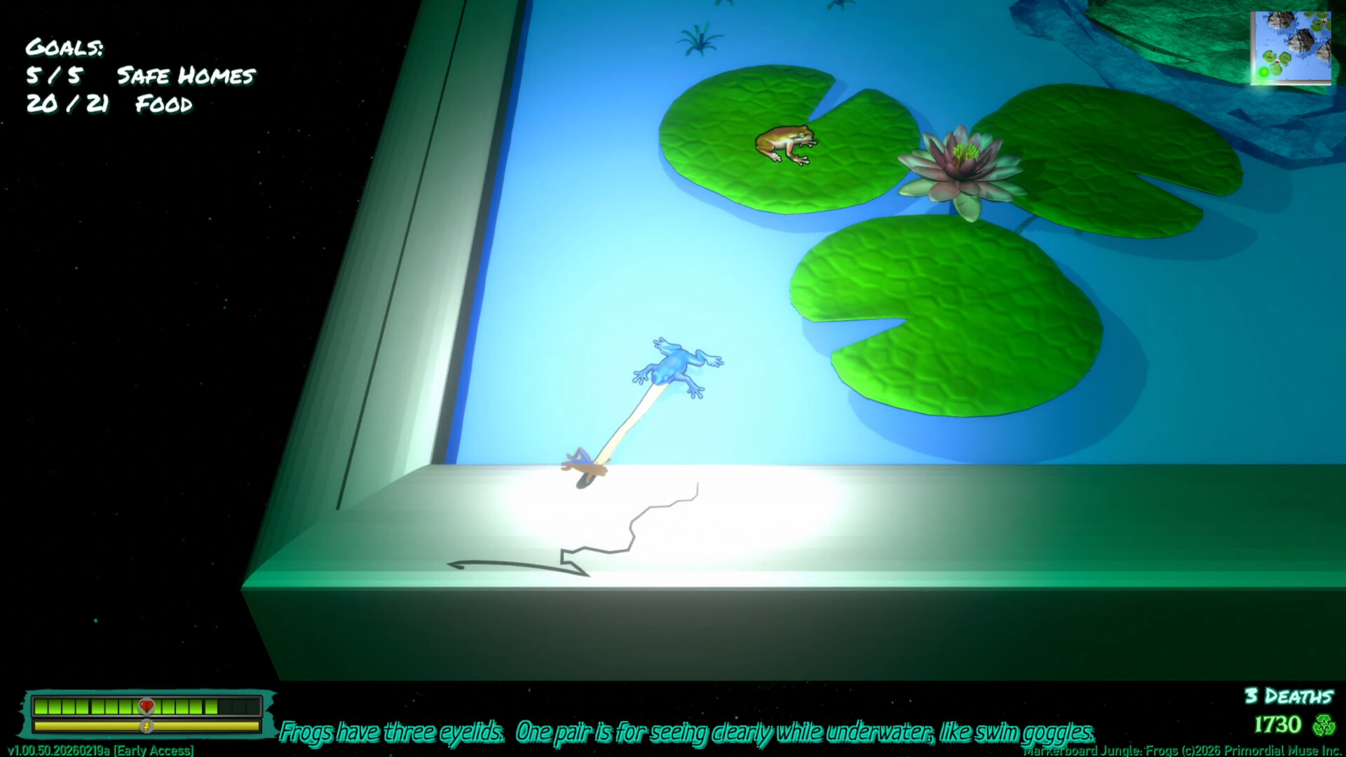 Markerboard Jungle: Frogs screenshot #3