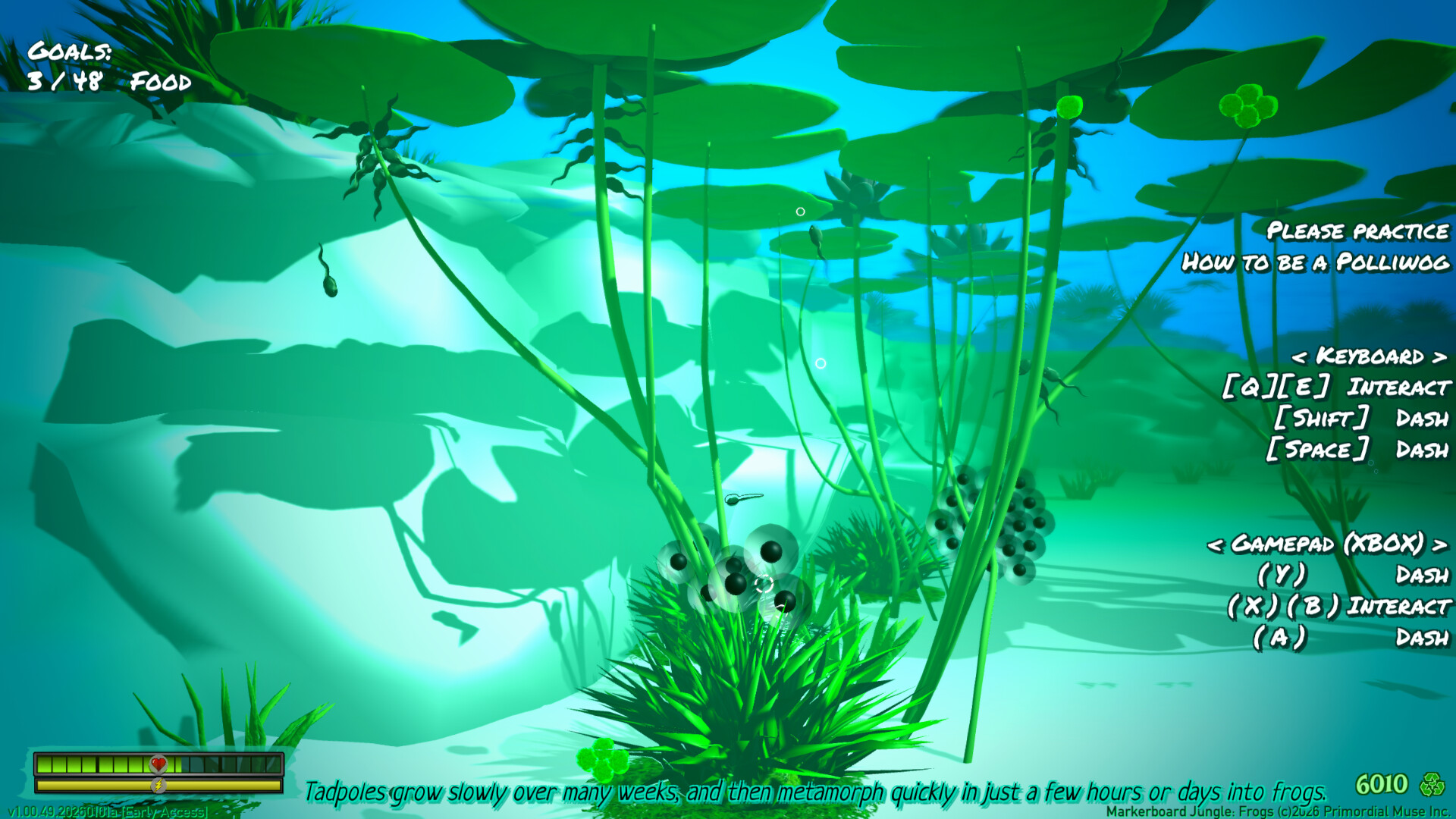 Markerboard Jungle: Frogs screenshot #4