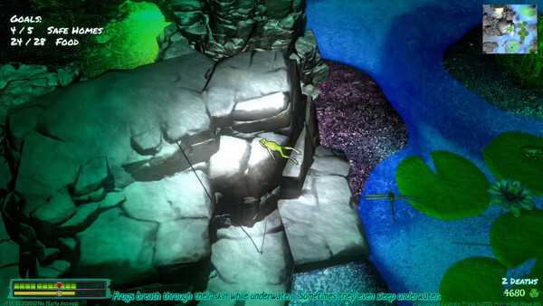 Markerboard Jungle: Frogs screenshot 9