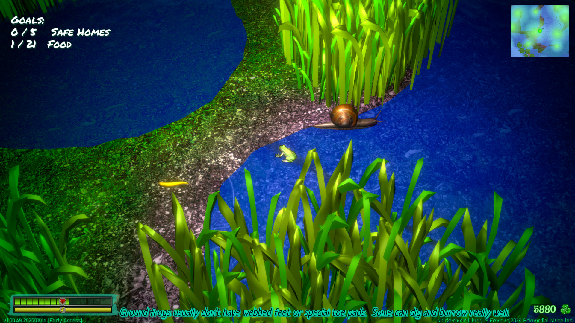 Markerboard Jungle: Frogs screenshot #5