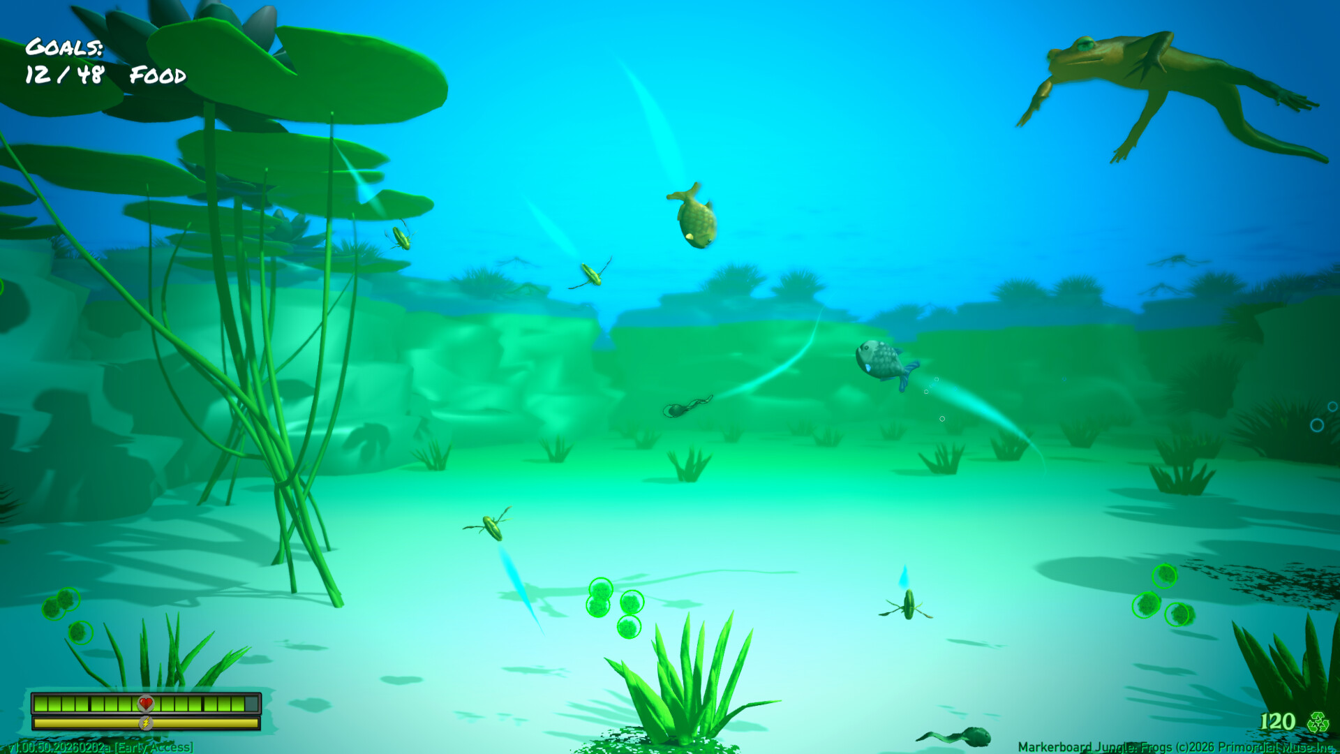 Markerboard Jungle: Frogs screenshot #4