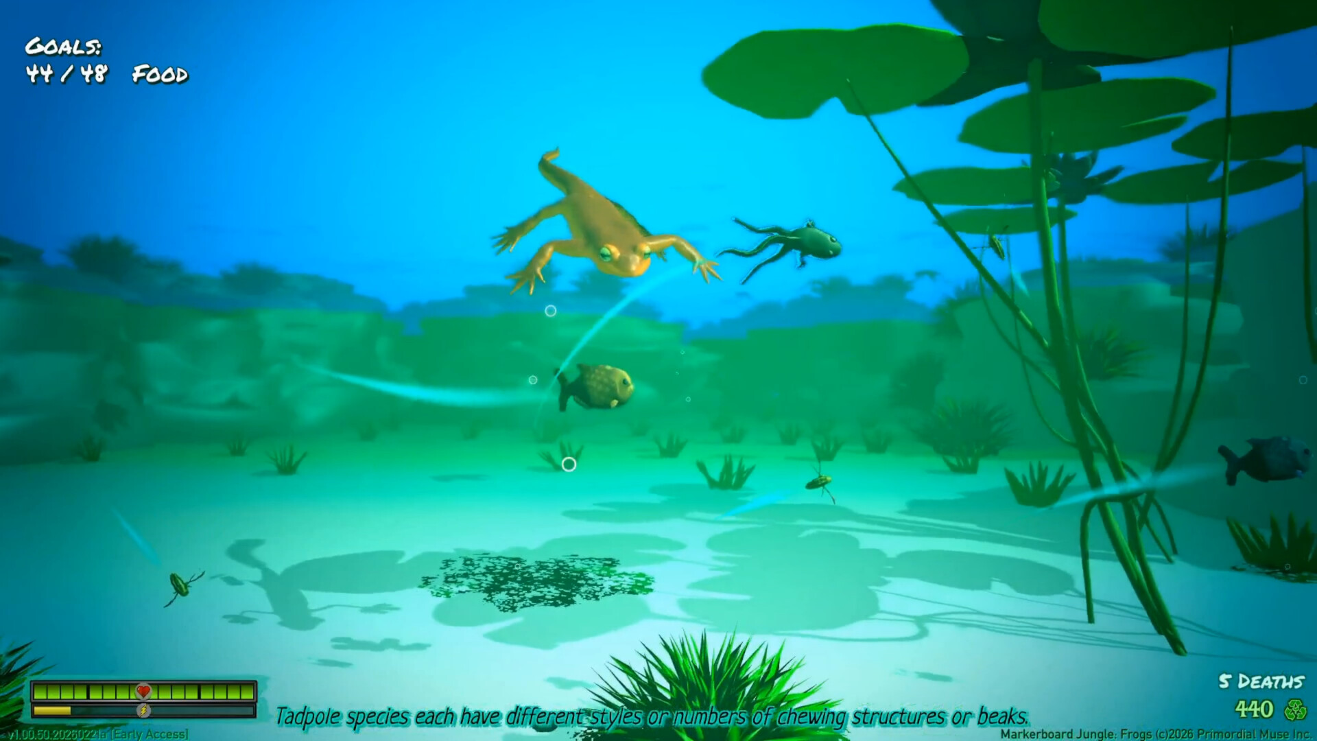 Markerboard Jungle: Frogs screenshot #5