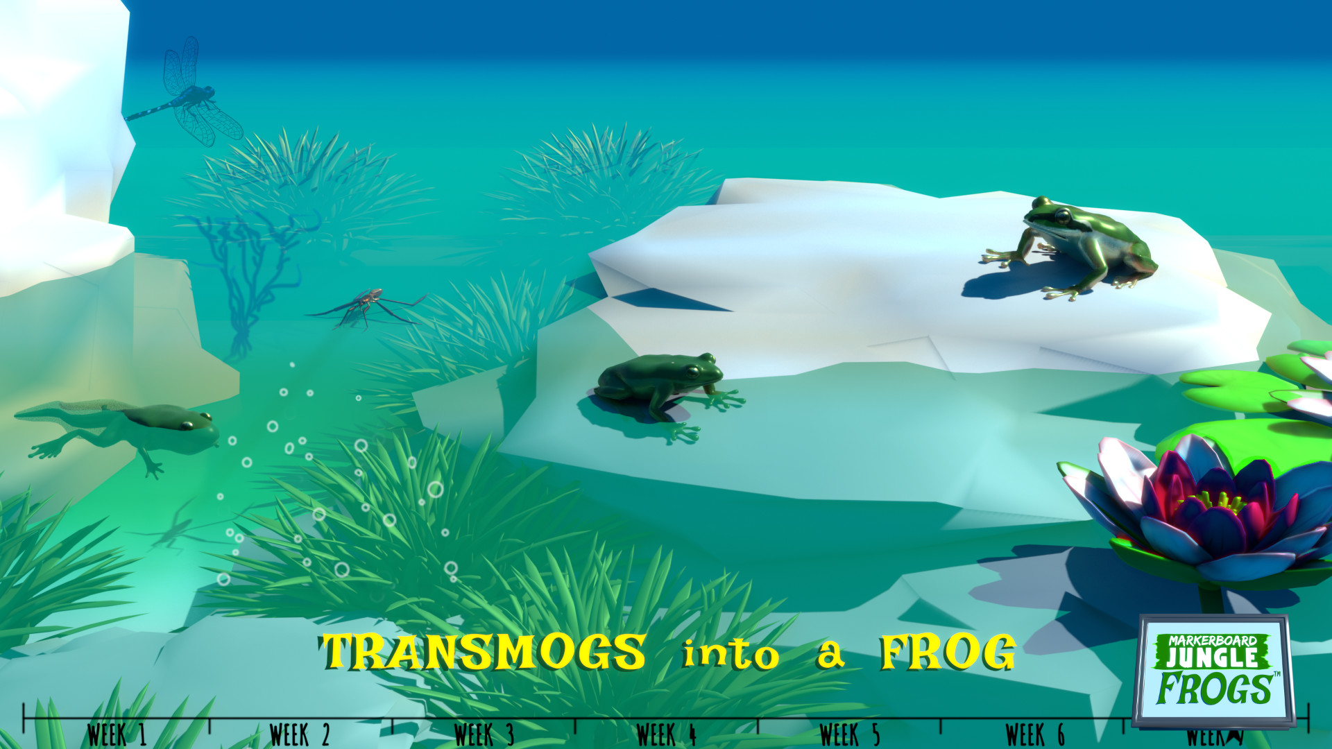 Markerboard Jungle: Frogs screenshot screenshot 2