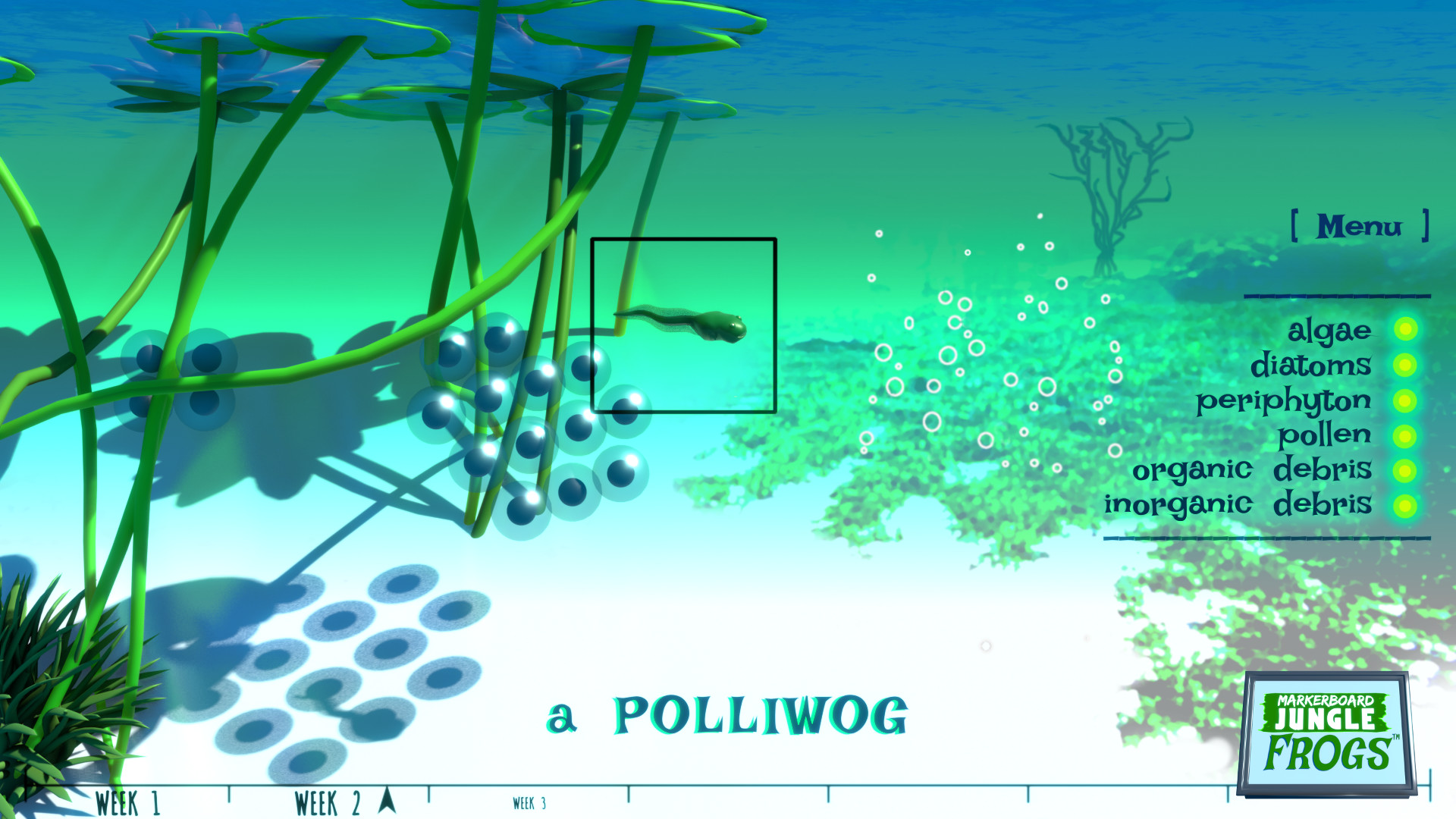 Markerboard Jungle: Frogs screenshot screenshot 1