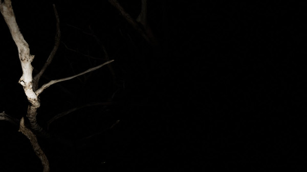 King's Lair screenshot 6