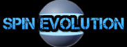 Spin Evolution
