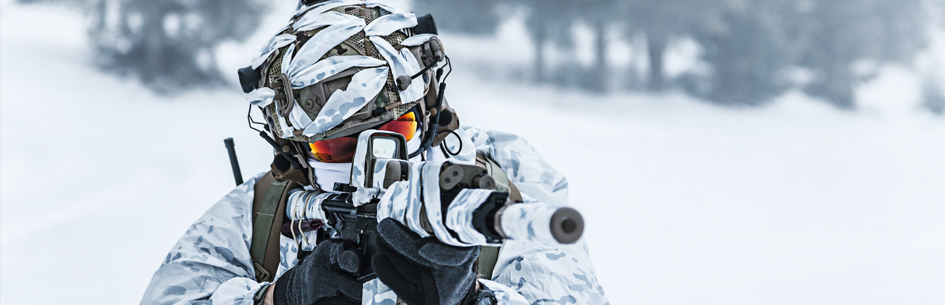 Beyond Enemy Lines: Operation Arctic Hawk