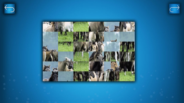 PUZZLE: ANIMALS screenshot 5