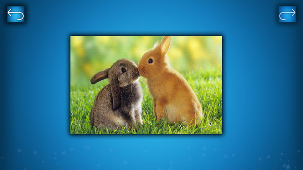 PUZZLE: ANIMALS screenshot 2