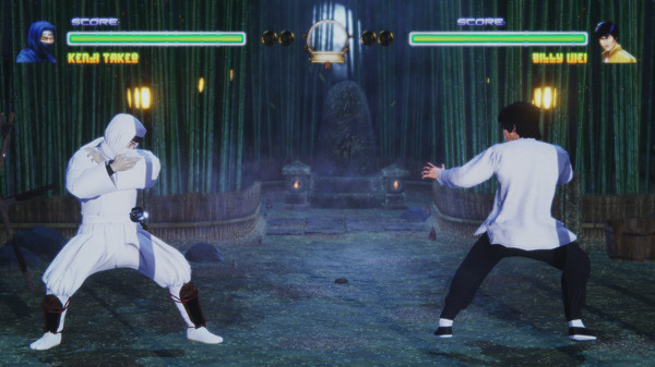 Screenshot z Fighters Legacy Screenshot z Fighters Legacy