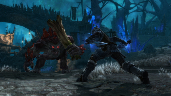 Kingdoms of Amalur: Reckoning screenshot