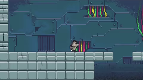 Rift Racoon video 1