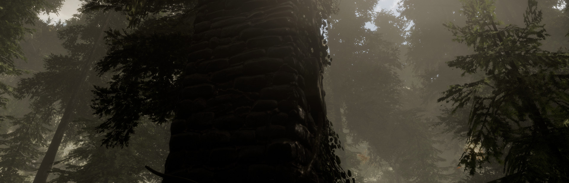 The Woods: VR Escape the Room