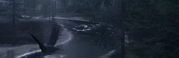 The WILDS video 5