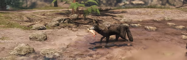 The WILDS video 6