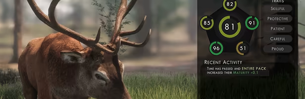 The WILDS video 4