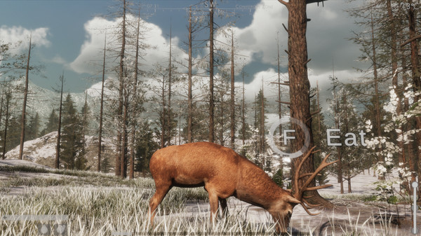 The WILDS
