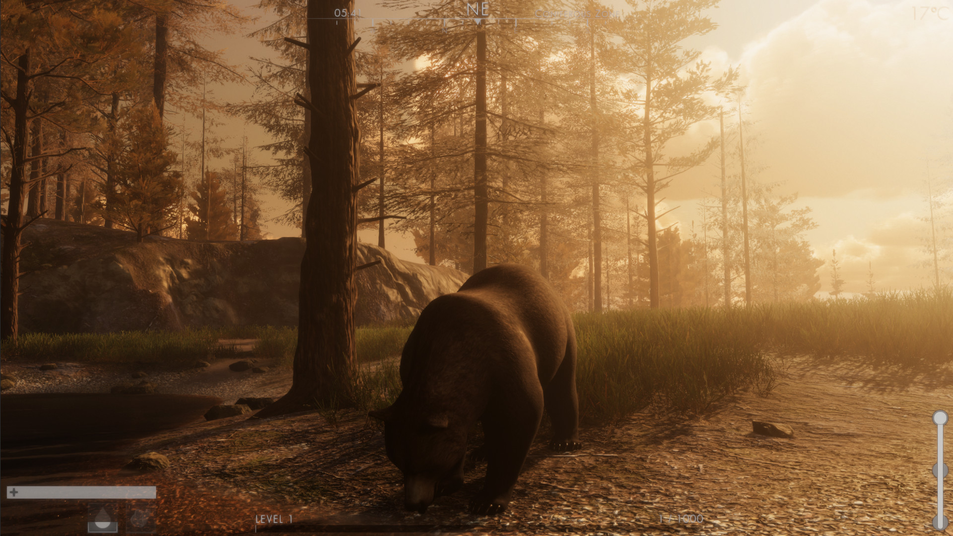 The WILDS screenshot #2