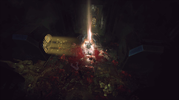 Full Size Image
