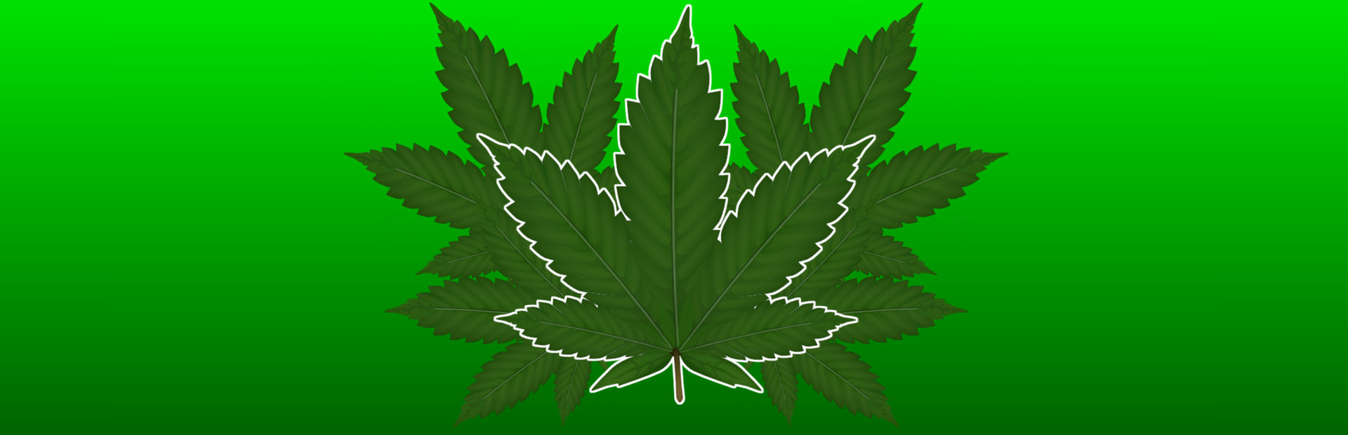 Bud Blitz
