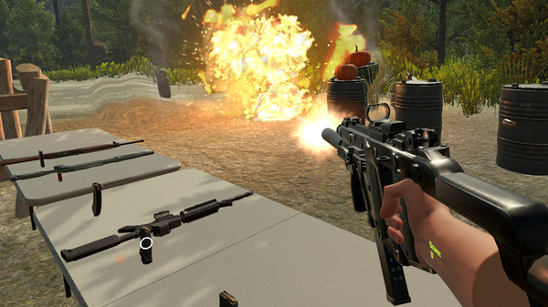 Mad Gun Range VR Simulator