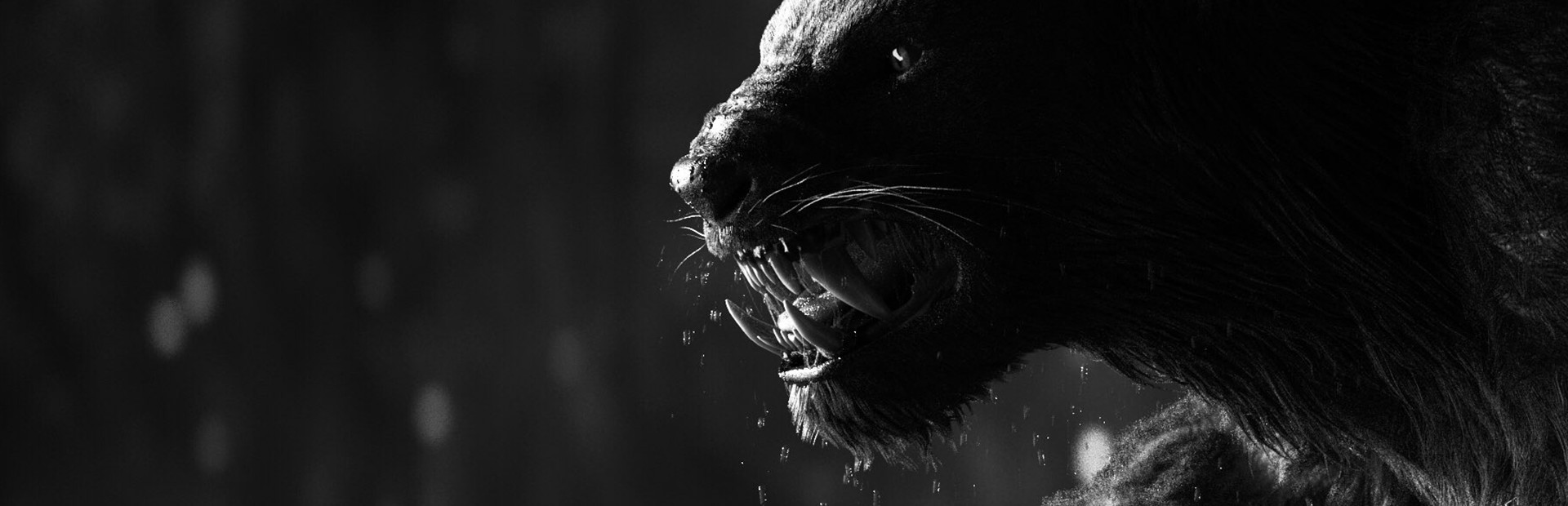 《野性(Wild Life)》20240411