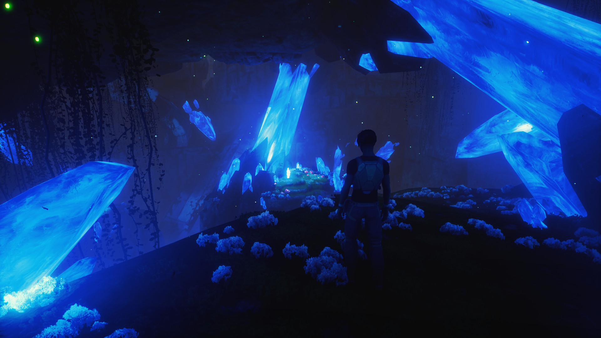 Wild Life screenshot 20