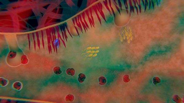 biorhythm screenshot 6