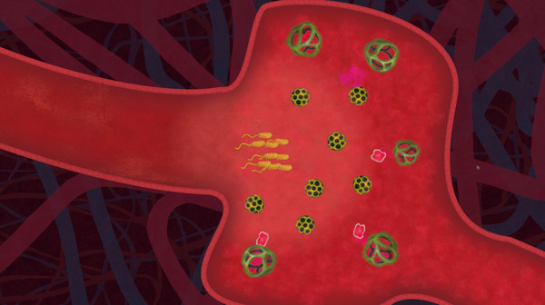 biorhythm screenshot 4