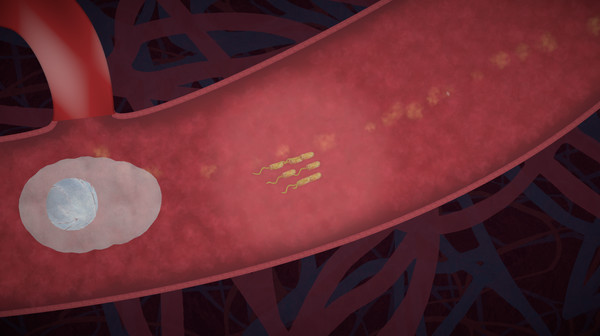 biorhythm screenshot 5