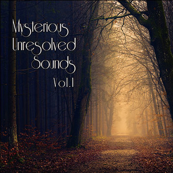 RPG Maker VX Ace - Mysterious Unresolved Sounds Vol.1