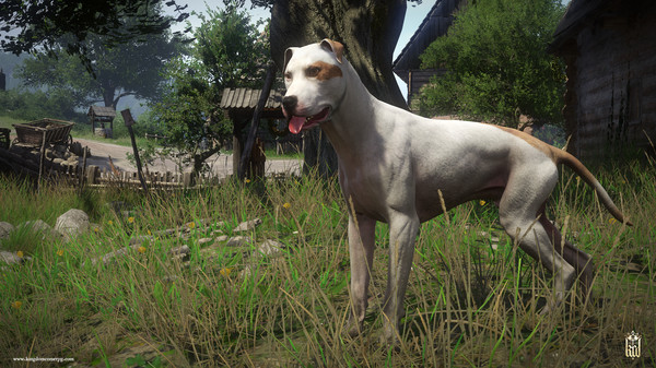 screenshot5