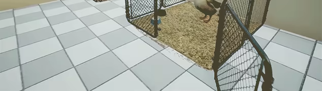Animal Doctor video 2