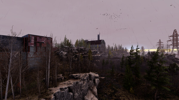 Thumbnail 17