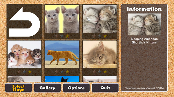 Jigsaw Masterpieces : Cute Lovely Cats