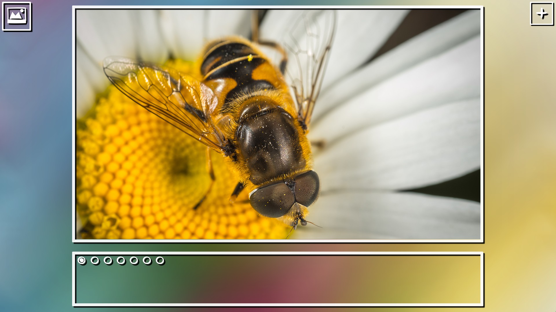 Super Jigsaw Puzzle: Generations screenshot #6