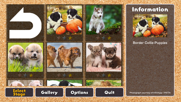 Jigsaw Masterpieces : Cute Lovely Dogs