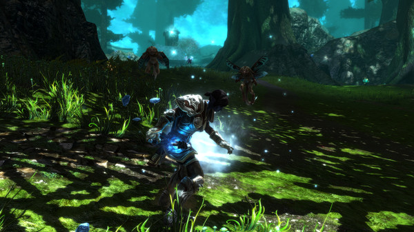 Screenshot z Kingdoms of Amalur: Re-Reckoning