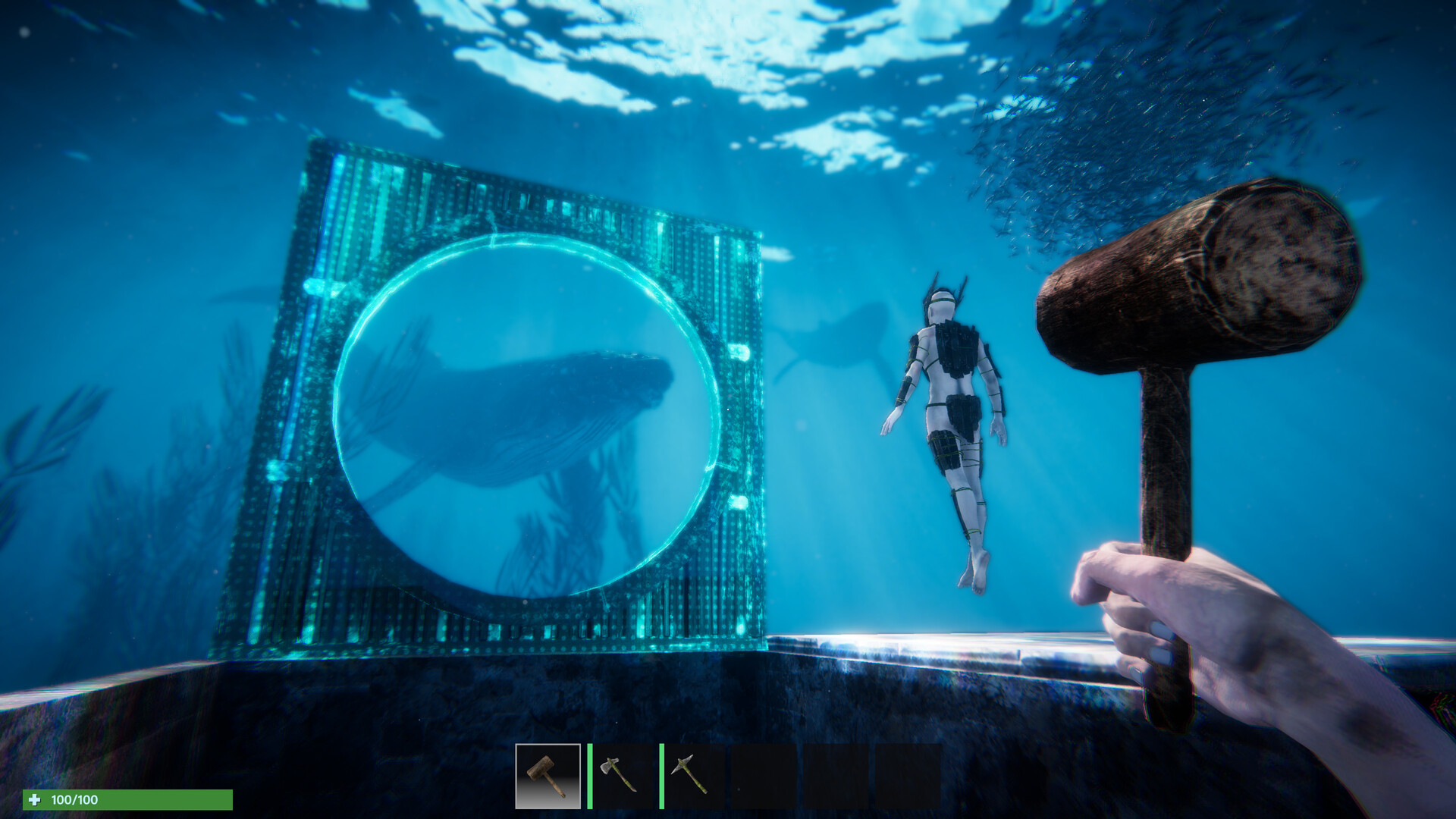 Anchor screenshot #4