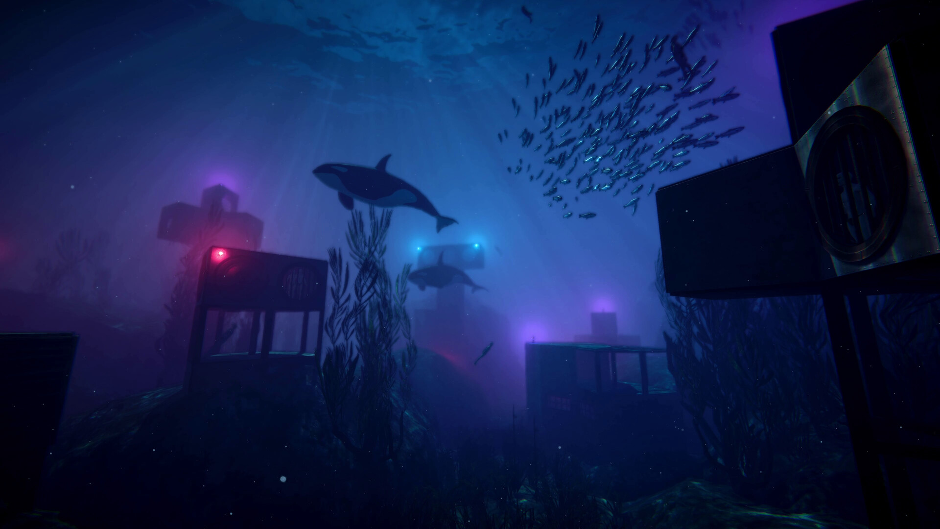 Anchor screenshot #10