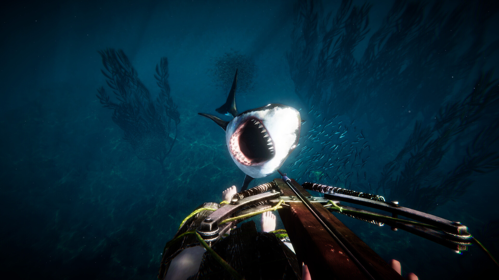 Anchor screenshot #6