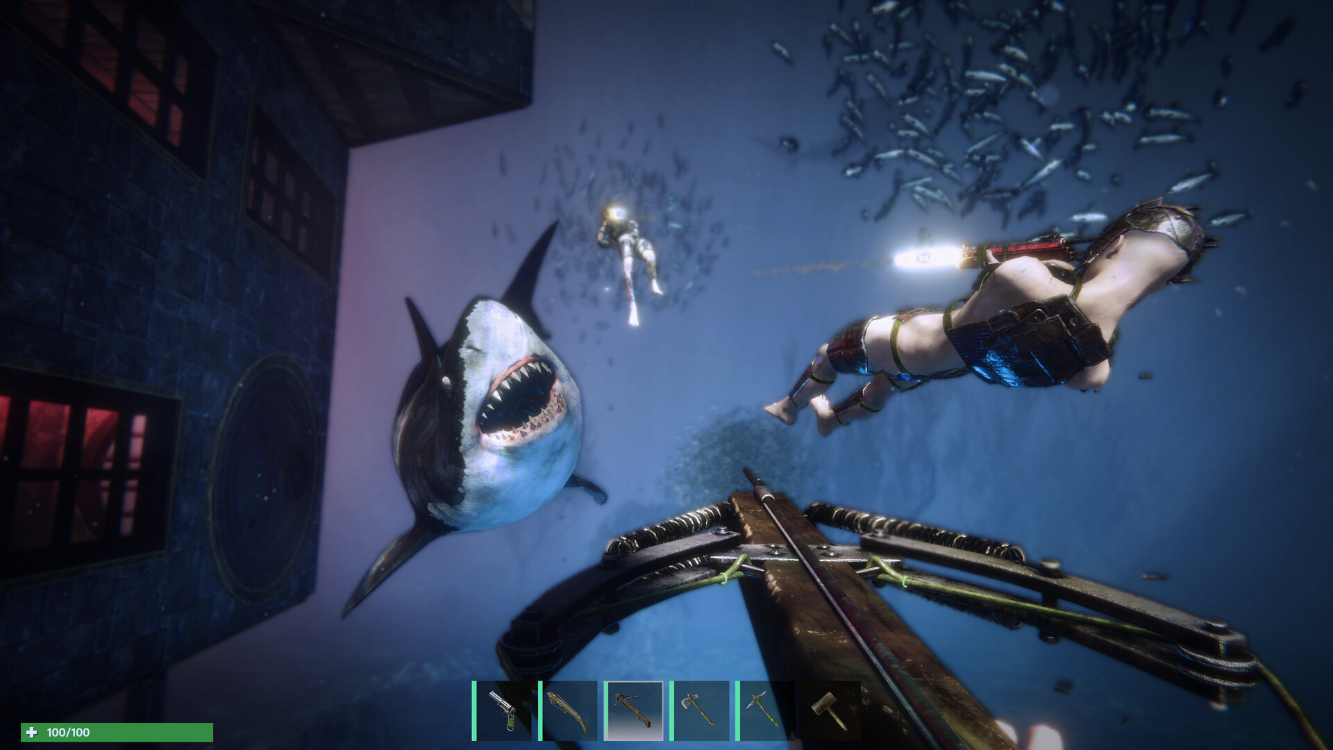 Anchor screenshot #1