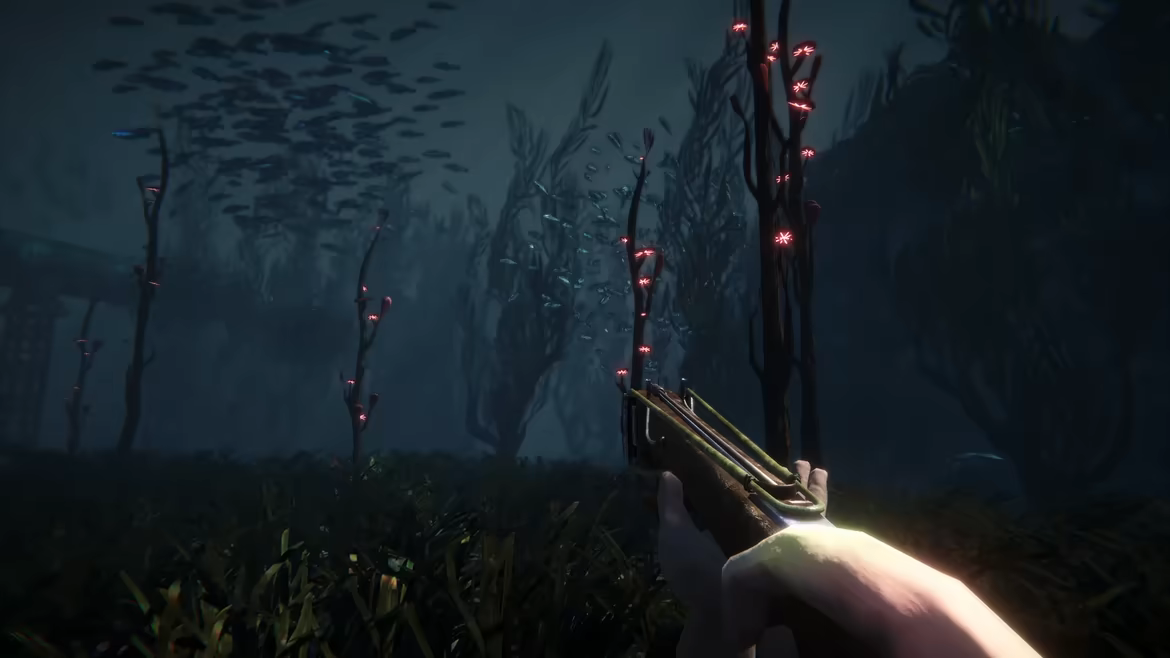 Anchor video 6