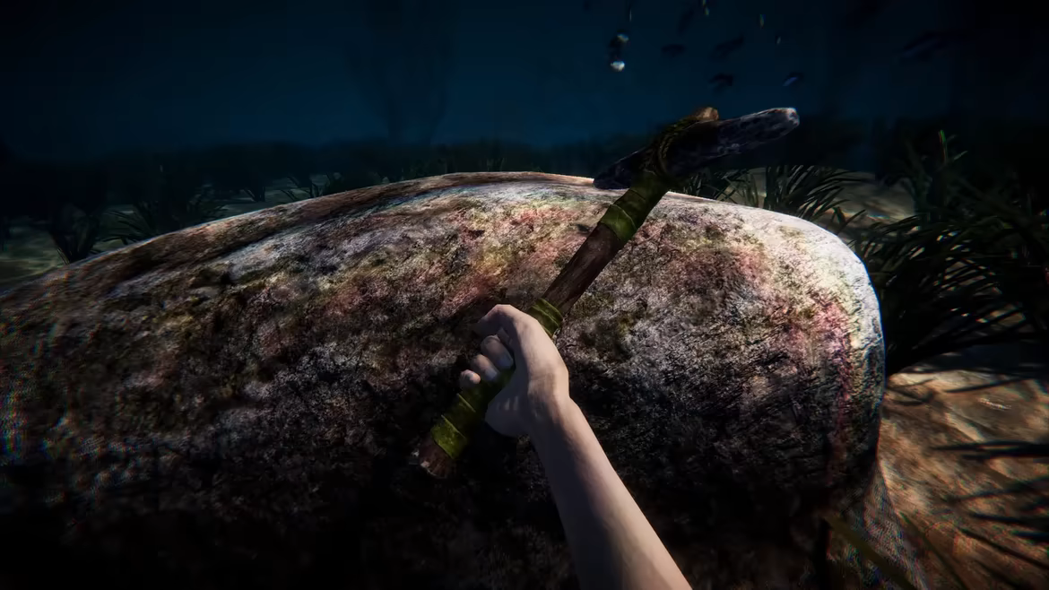 Anchor video 1