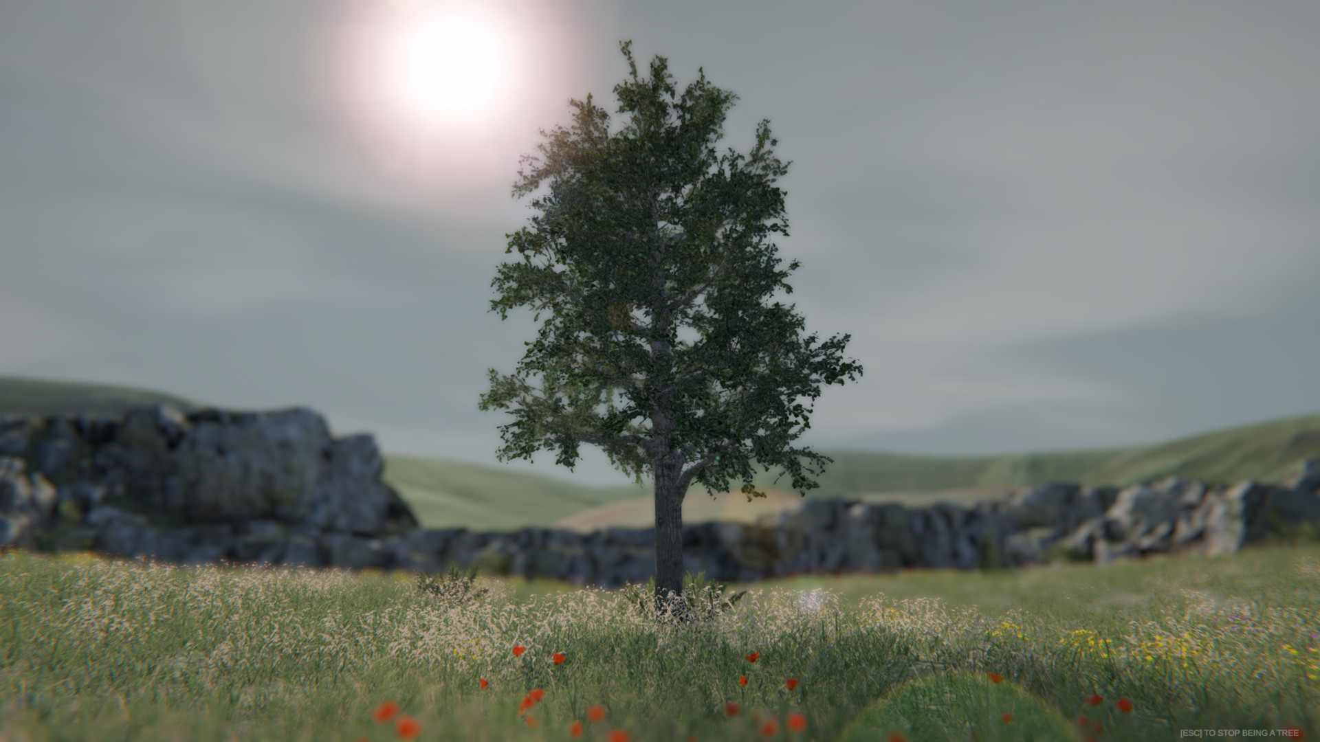 #5. Tree Simulator 2020 (Steam) By: Revmatek