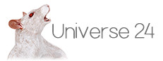 Universe 24