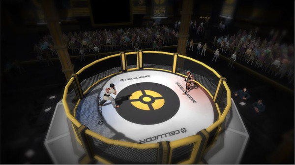 Screenshot z MMA Arena